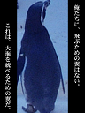 ペンギンフェスタ檄画（茶林小一さん）